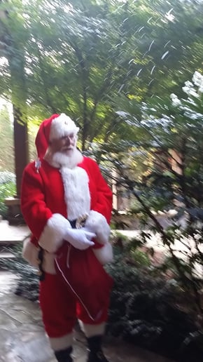 Gallery photo 1 of The Sweet Life Santa