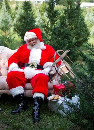 Gallery photo 2 of The Sweet Life Santa