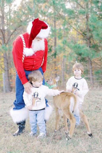 Gallery photo 6 of Santa Bill