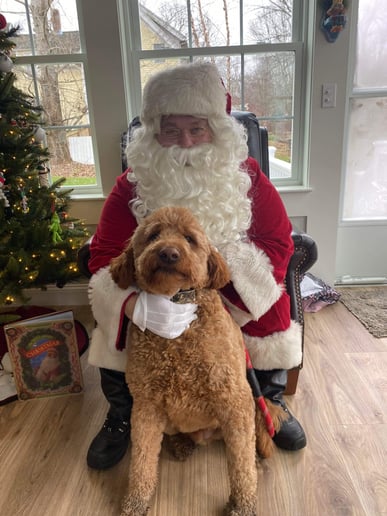 Gallery photo 6 of Santa Bill