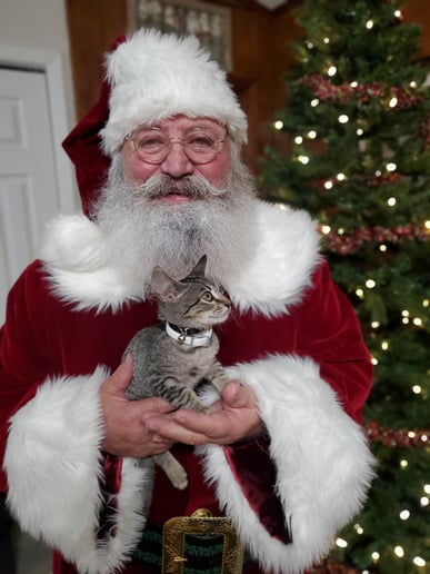 Gallery photo 10 of Santa Bill & his Mrs