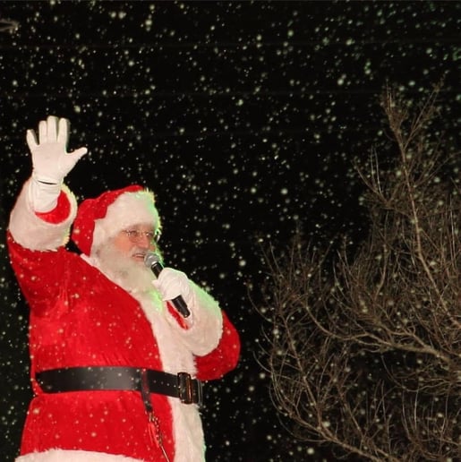 Gallery photo 3 of Santa Bill