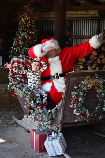 Gallery photo 6 of Santa Billy