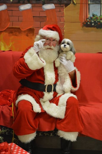 Gallery photo 4 of Santa Billy D.