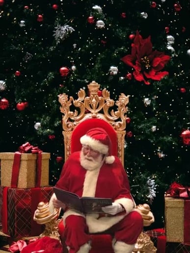 Gallery photo 5 of Santa Billy D.