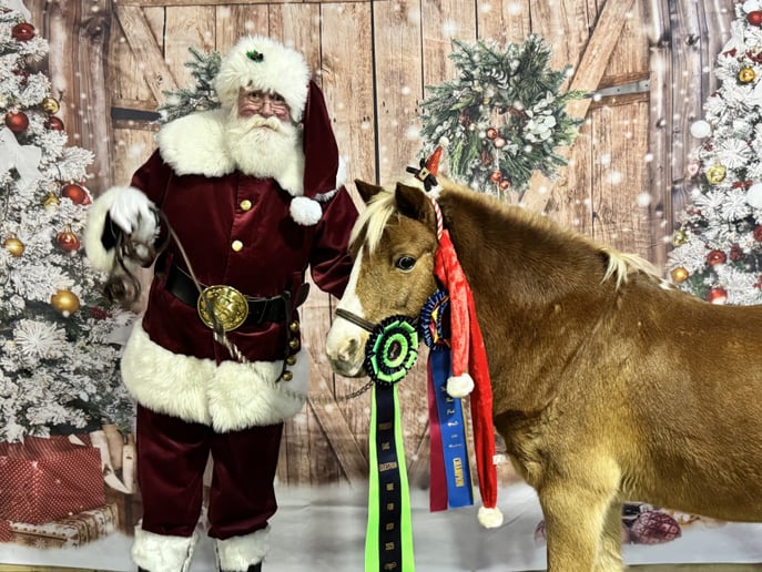 Gallery photo 7 of Santa Billy D.