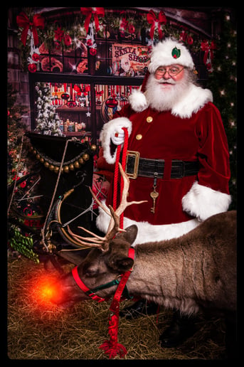 Gallery photo 7 of Santa Birdie