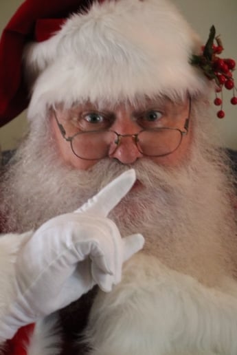 Gallery photo 9 of Santa Birdie