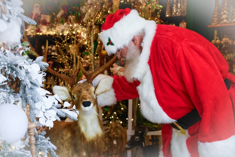 Gallery photo 3 of Santa BJ