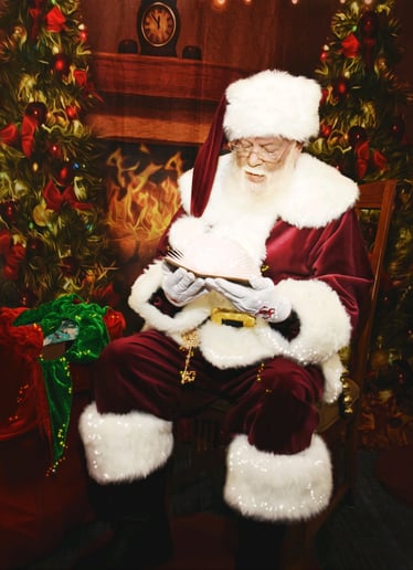 Gallery photo 1 of Santa Bob