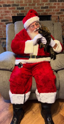 Gallery photo 7 of Santa Bob