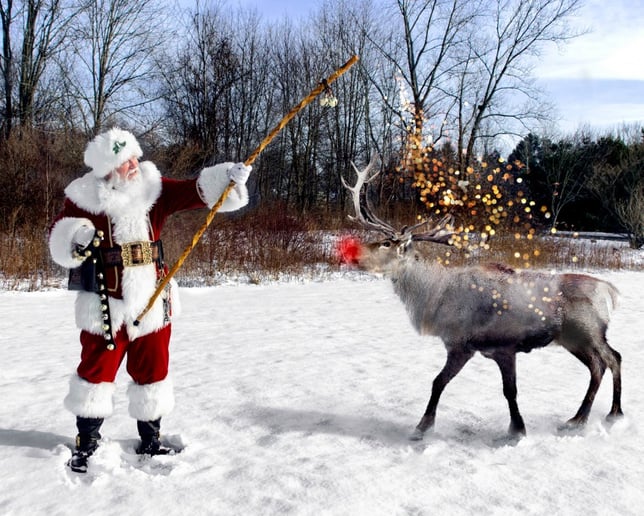 Gallery photo 8 of Santa MetroWest