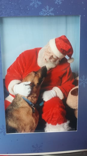 Gallery photo 5 of Santa Bob