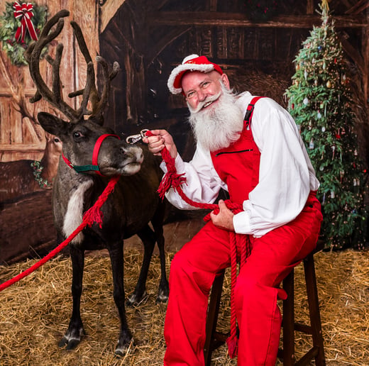 Gallery photo 10 of Santa Bob