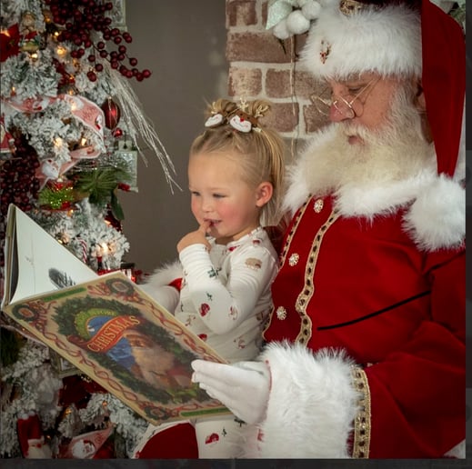 Gallery photo 2 of Santa Bob