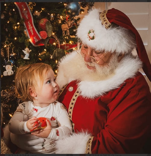Gallery photo 5 of Santa Bob