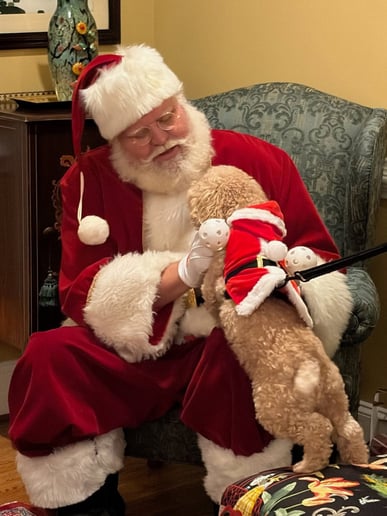 Gallery photo 4 of Santa Bobby