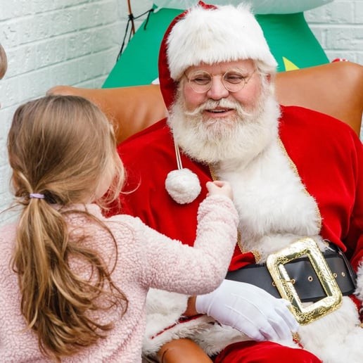 Gallery photo 7 of Santa Bobby