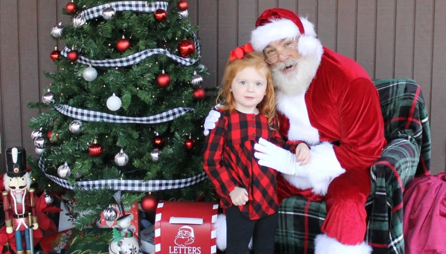 Gallery photo 3 of Santa Bobby