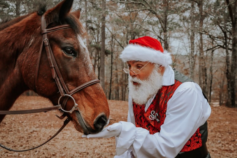 Gallery photo 9 of Santa Bobby