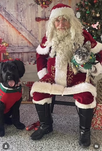 Gallery photo 2 of Santa~Graham