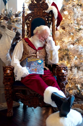 Gallery photo 12 of Santa Boggs