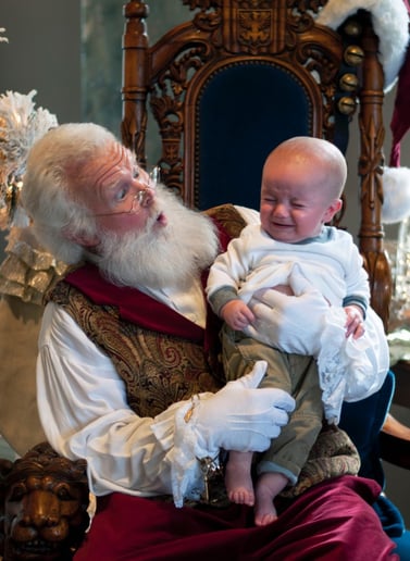 Gallery photo 11 of Santa Boggs