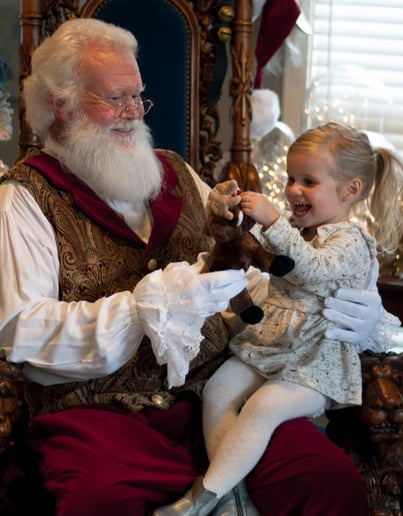Gallery photo 7 of Santa Boggs