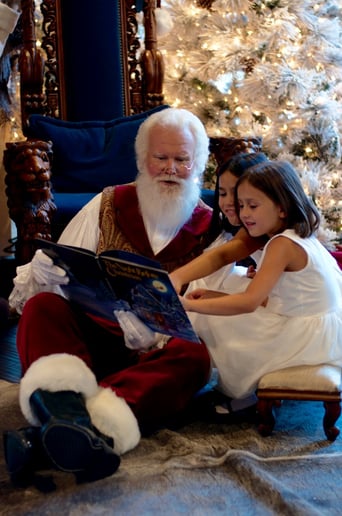 Gallery photo 10 of Santa Boggs