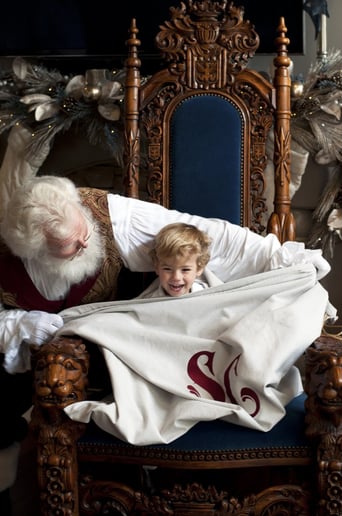 Gallery photo 9 of Santa Boggs