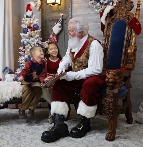 Gallery photo 16 of Santa Boggs