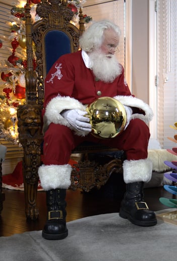 Gallery photo 22 of Santa Boggs