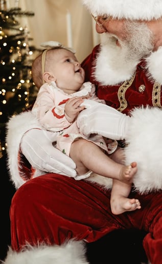 Gallery photo 2 of Santa Bonee’