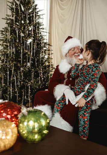 Gallery photo 3 of Santa Bonee’