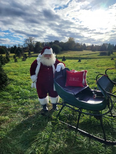 Gallery photo 13 of Santa Boom