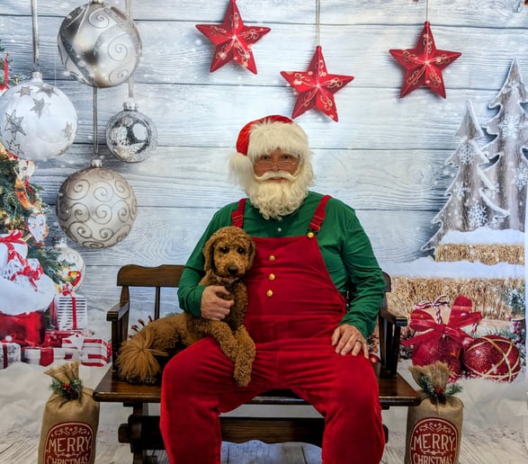 Gallery photo 5 of Santa Brad