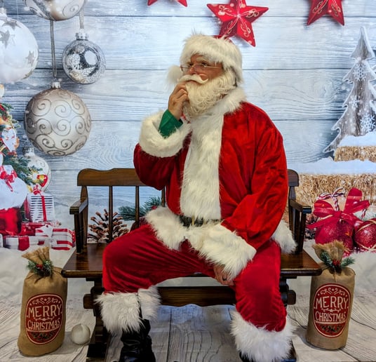 Gallery photo 8 of Santa Brad