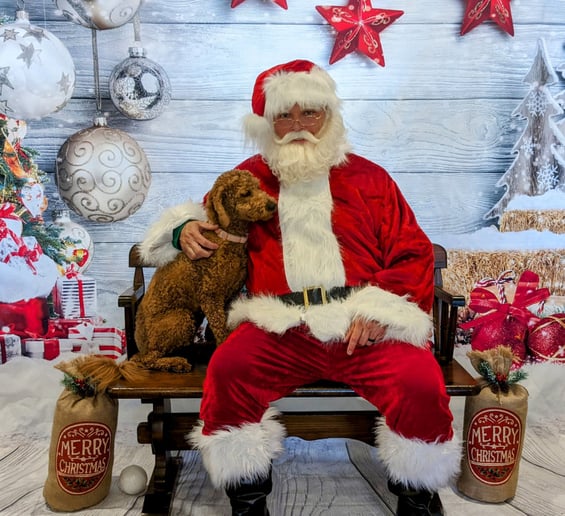 Gallery photo 9 of Santa Brad