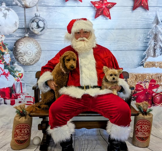 Gallery photo 10 of Santa Brad