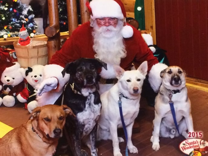 Gallery photo 9 of Santa Brett