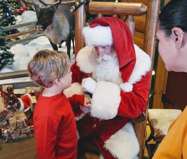 Gallery photo 3 of Santa Brett
