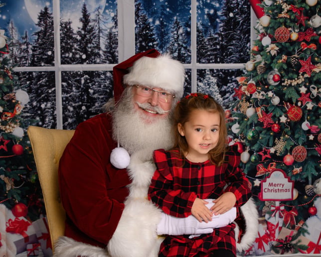 Gallery photo 17 of Santa Brett Jax