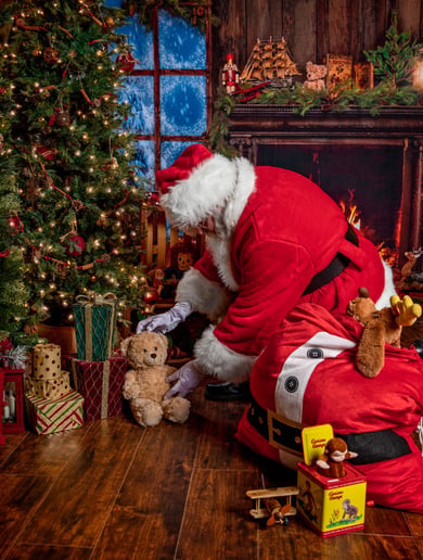Gallery photo 9 of Santa Brett Jax