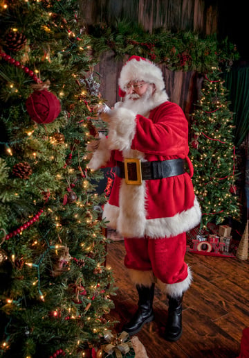 Gallery photo 10 of Santa Brett Jax