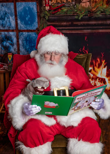 Gallery photo 11 of Santa Brett Jax