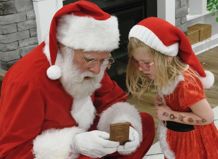 Gallery photo 9 of Singing Santa Brett