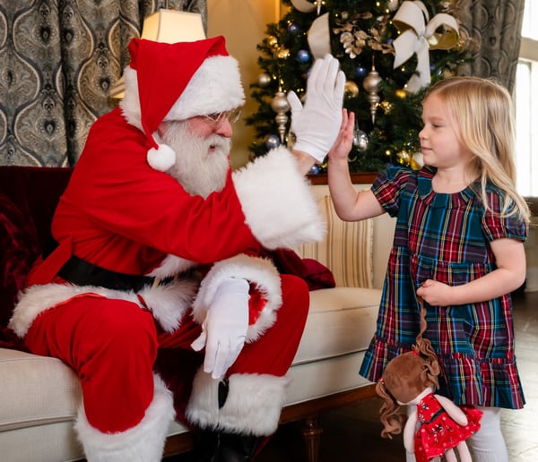 Gallery photo 2 of Singing Santa Brett