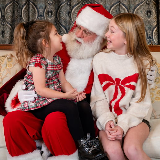 Gallery photo 6 of Singing Santa Brett
