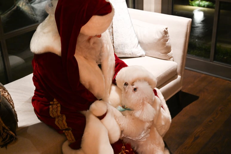 Gallery photo 4 of Santa (Brett) Shaws
