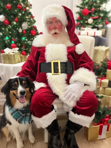 Gallery photo 1 of Santa Brian